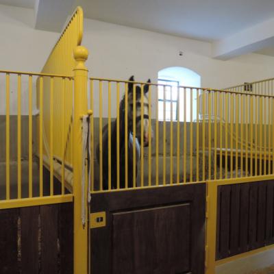 Stable technologies for the Kladruby nad Labem National Stud