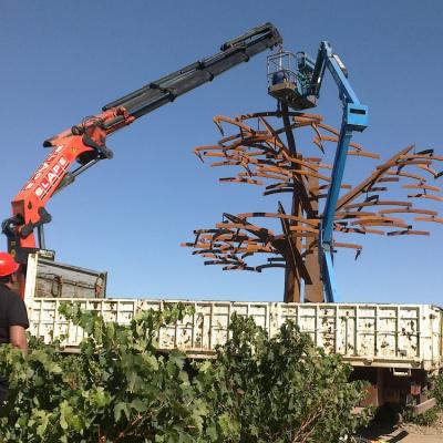 Eisen-Baum im spanischen Weinbergen