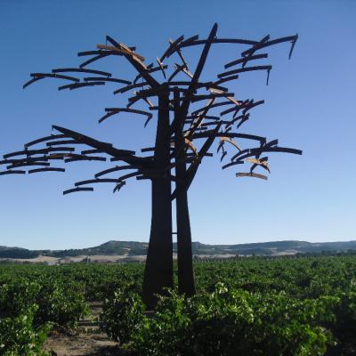 Eisen-Baum im spanischen Weinbergen